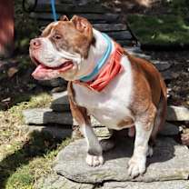 Thumbnail photo of Hank #3