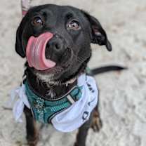 Thumbnail photo of Fiona #2