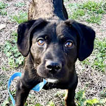 Thumbnail photo of Fiona #3