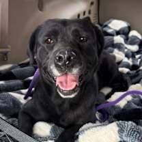 Thumbnail photo of Magdalina #4