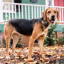 Thumbnail photo of Brynn #1