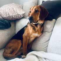 Thumbnail photo of Brynn #3