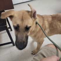 Thumbnail photo of Persia #4