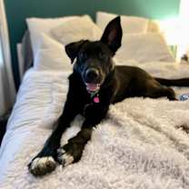 Thumbnail photo of Minnie #4