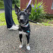 Thumbnail photo of Destiny #2