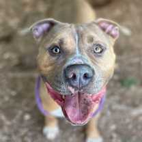 Thumbnail photo of Tino #1