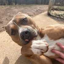 Thumbnail photo of Tino #2