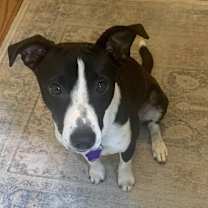 Thumbnail photo of Chex #2