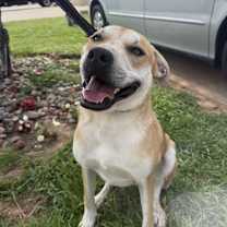 Thumbnail photo of Dusty Buns #2