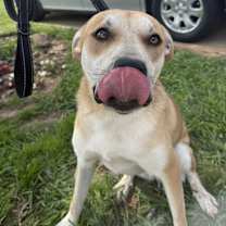 Thumbnail photo of Dusty Buns #3