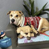 Thumbnail photo of Taz Danforth #1