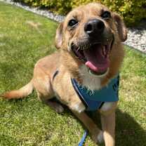 Thumbnail photo of Ace #1