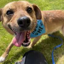 Thumbnail photo of Ace #2