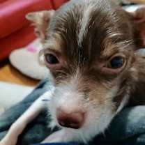 Thumbnail photo of Spice #2