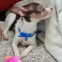Thumbnail photo of Spice #3