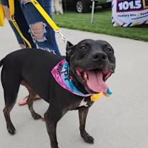 Thumbnail photo of Diva #2