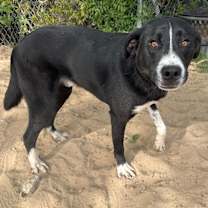 Thumbnail photo of Blake Richard #4