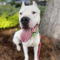 Thumbnail photo of Zen #4