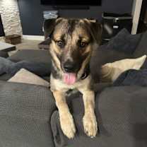 Thumbnail photo of Rocky #2