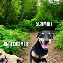 Thumbnail photo of Schmidt #3