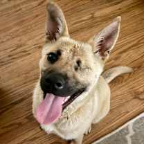 Thumbnail photo of Winx #1