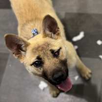 Thumbnail photo of Winx #2