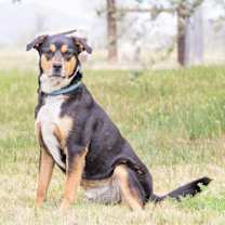 Thumbnail photo of George #1