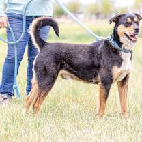 Thumbnail photo of George #2