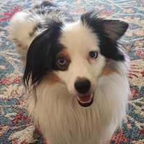 Thumbnail photo of Xander #1