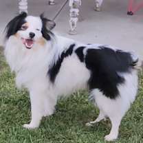 Thumbnail photo of Xander #3