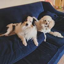 Thumbnail photo of Xander #4