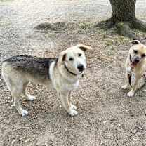 Thumbnail photo of Faithful Faith Jones queen of peace and love #2