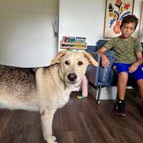 Thumbnail photo of Faithful Faith Jones queen of peace and love #3