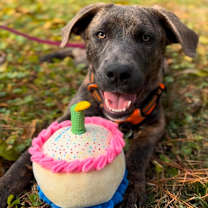 Thumbnail photo of Malcolm #1