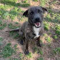 Thumbnail photo of Malcolm #3