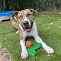 Thumbnail photo of Chuck #1
