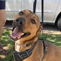 Thumbnail photo of Bailey Katie #3