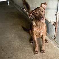 Thumbnail photo of Freddy #1