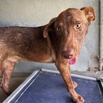 Thumbnail photo of Freddy #2