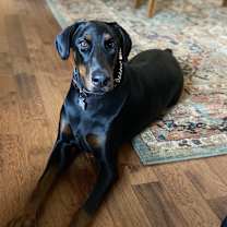 Thumbnail photo of Priya #2