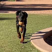 Thumbnail photo of Priya #3