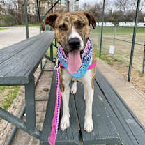 Thumbnail photo of Chuck #2