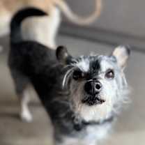 Thumbnail photo of Gene #4