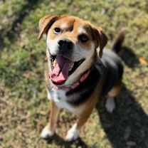 Thumbnail photo of Hank #3