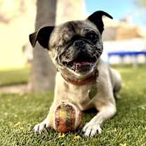 Thumbnail photo of Spaghetti #2