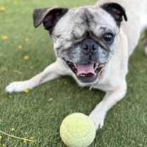 Thumbnail photo of Spaghetti #3