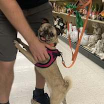 Thumbnail photo of Spaghetti #4