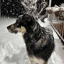 Thumbnail photo of Fynn #3