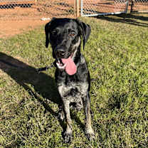 Thumbnail photo of Bandit #2