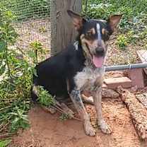 Thumbnail photo of Sissy #4